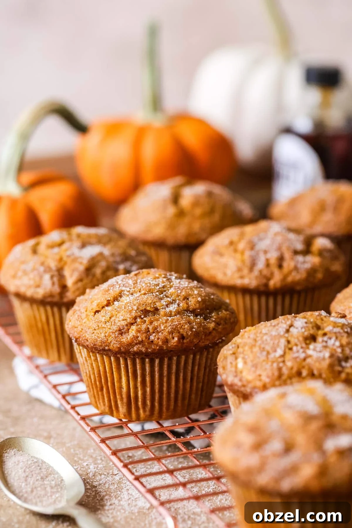 Sourdough pumpkin muffins topped with coarse sugar on a cooling rack.