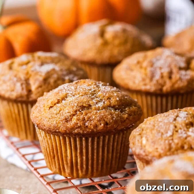 Sourdough pumpkin muffins topped with coarse sugar on a cooling rack.