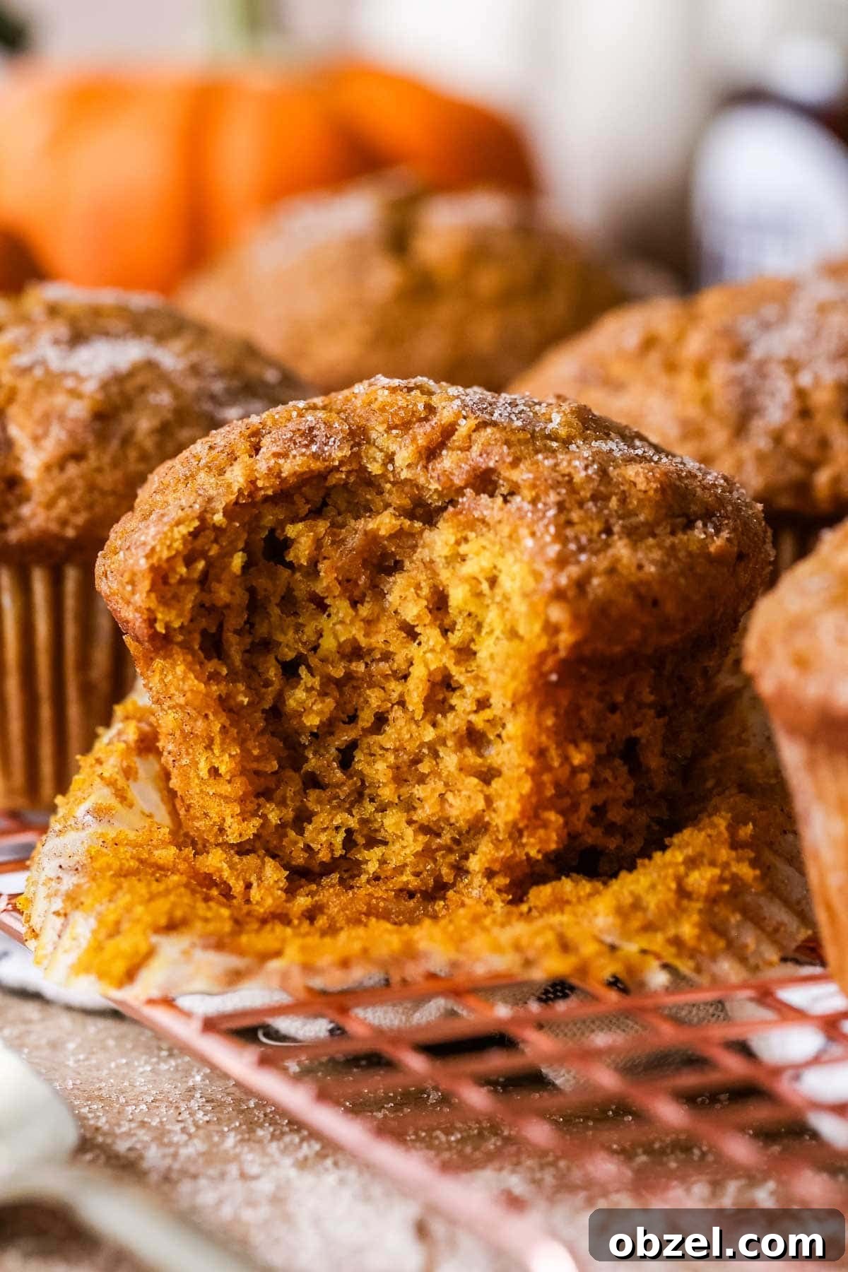 Bite missing from a muffin made with pumpkin and sourdough discard.