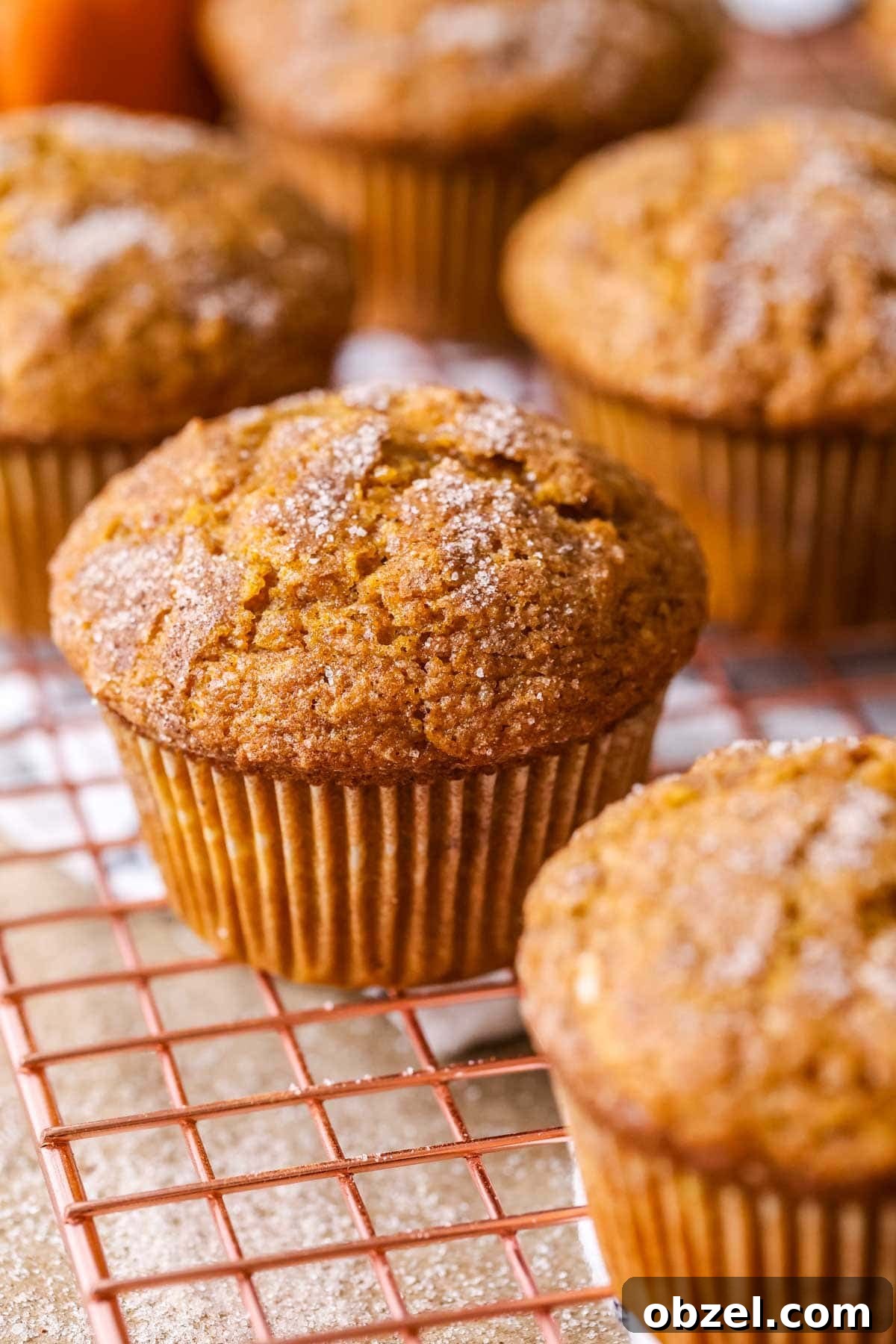 Muffins made with pumpkin and sourdough discard.