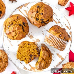 Vegan Pumpkin Muffins with Warm Fall Spices 12 Pumpkin muffins with chocolate and cinnamon