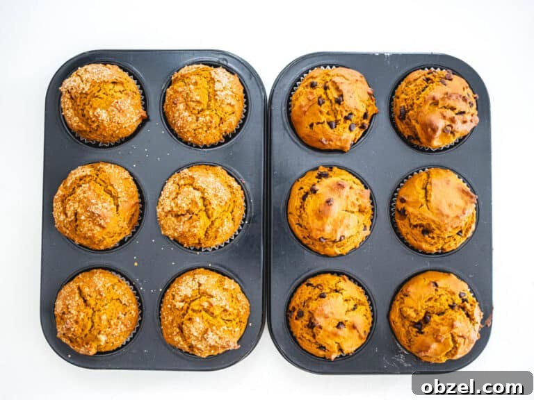 Vegan Pumpkin Muffins with Warm Fall Spices 16 Vegan pumpkin muffins after baking