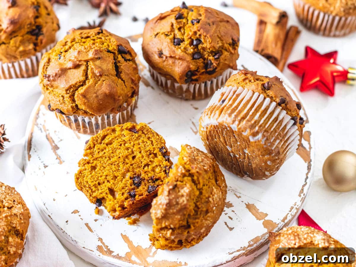 Vegan Pumpkin Muffins with Warm Fall Spices 3 Pumpkin Muffins with chocolate chips and sugar topping