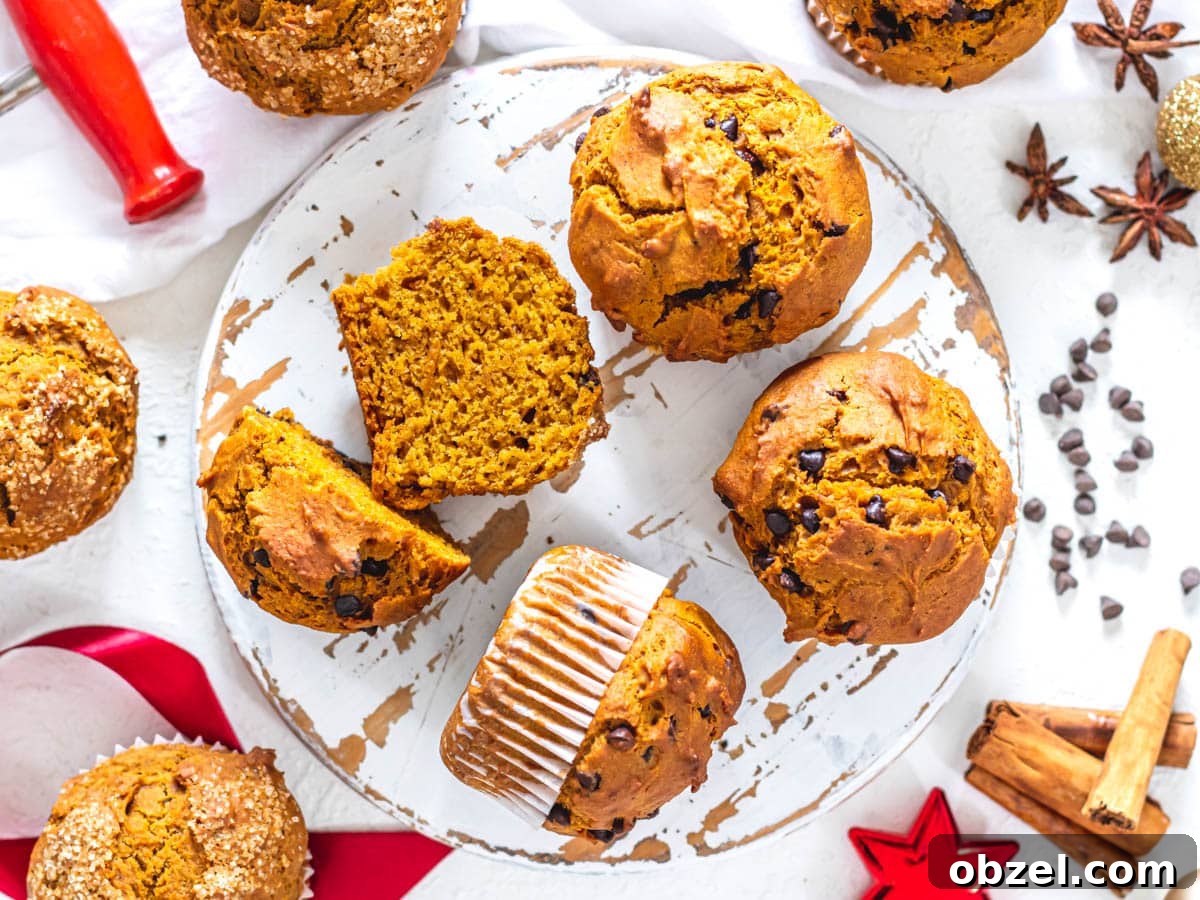 Vegan Pumpkin Muffins with Warm Fall Spices 5 vegan pumpkin muffins with and without dark chocolate chips