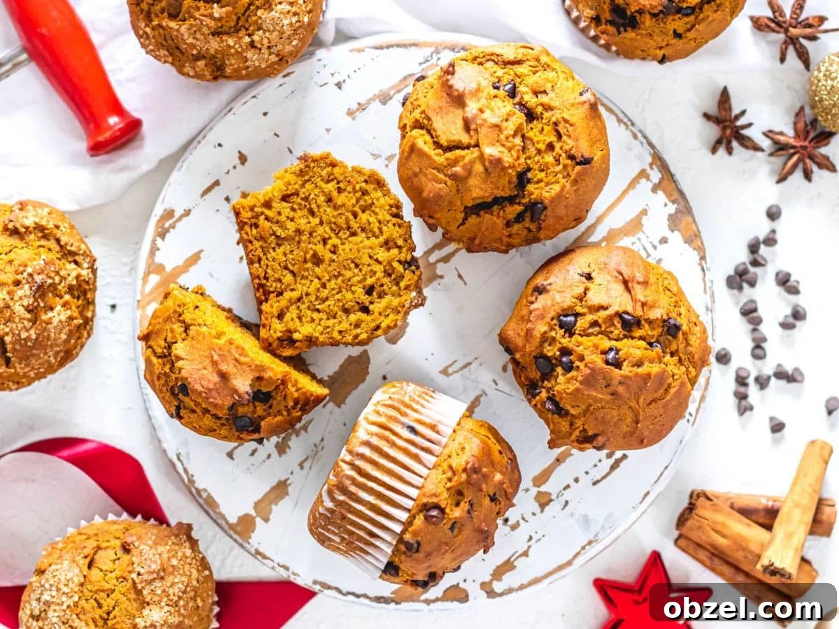 Vegan Pumpkin Muffins with Warm Fall Spices 10 vegan pumpkin muffins with and without dark chocolate chips