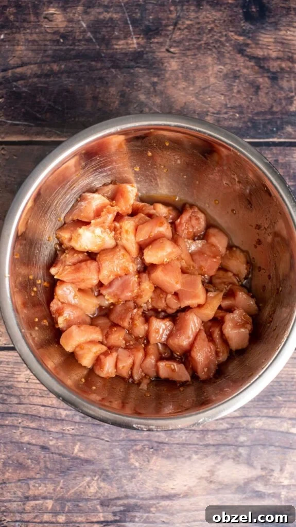 Pineapple Pork Rice Bowl Recipe 4 pork pieces marinating in teriyaki sauce