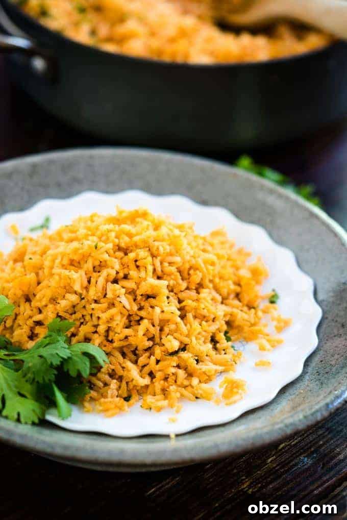 Spanish Rice Recipe with Tomatoes and Garlic 4 Spanish rice on a white plate