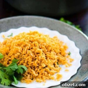 Spanish rice on a white plate
