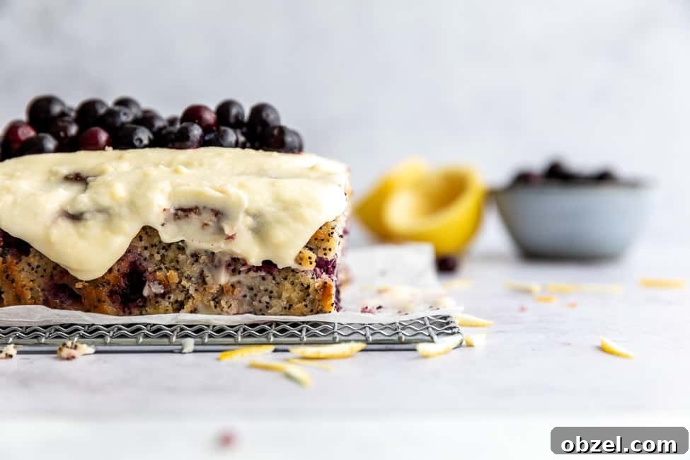 Keto Lemon Poppy Seed Blueberry Cake 3 keto lemon poppy seed cake with blueberries loaf