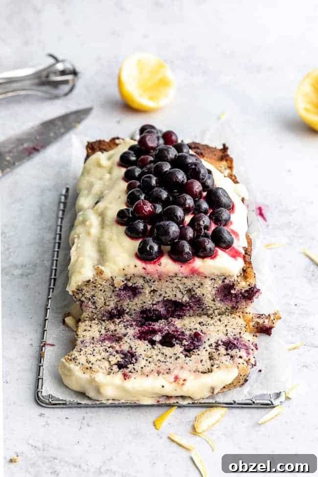 Keto Lemon Poppy Seed Blueberry Cake 8 keto lemon poppy seed cake slice