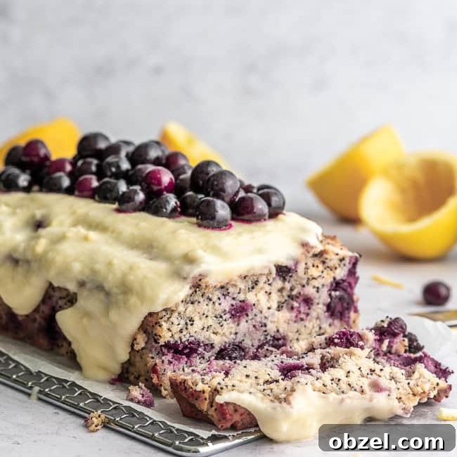 Keto Lemon Poppy Seed Blueberry Cake 9 keto lemon poppy seed cake with blueberries