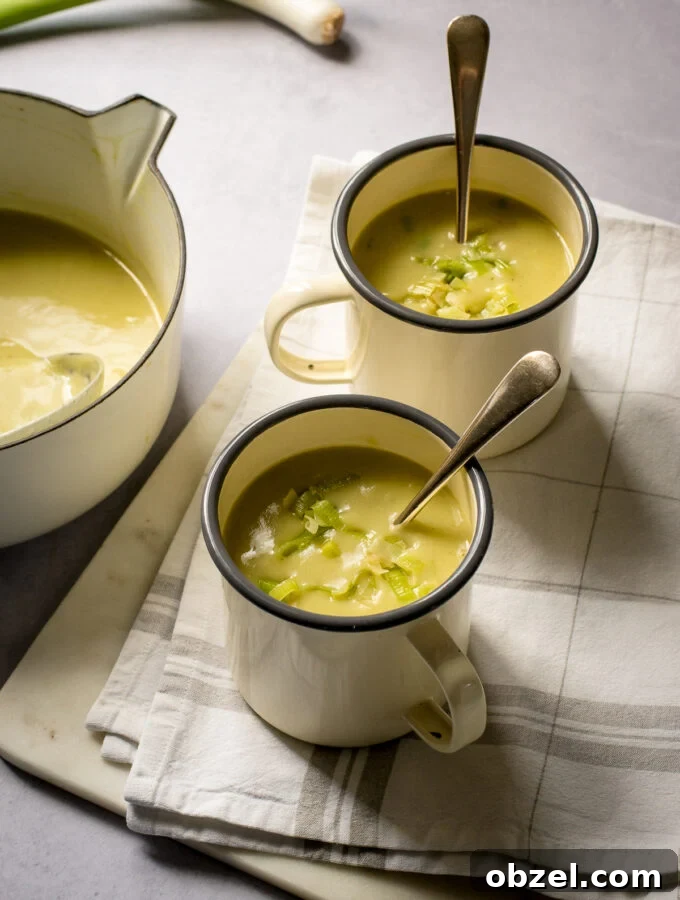 Vegan Leek and Potato Soup