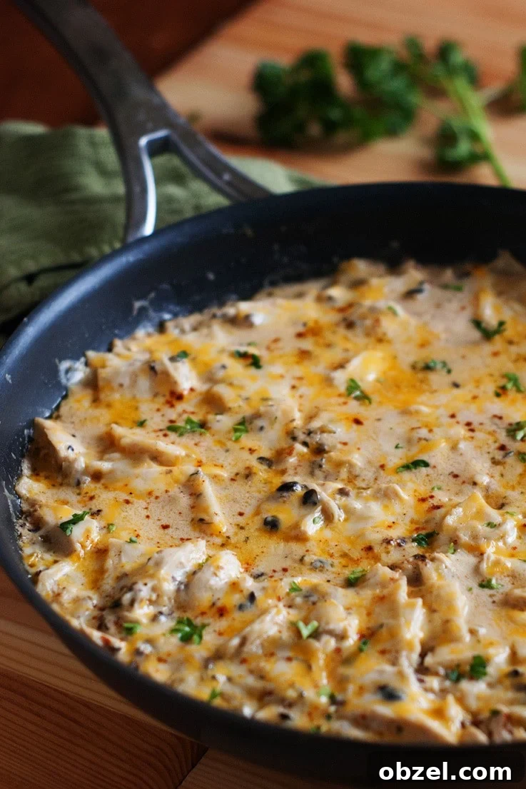 One Pan Sour Cream Chicken Enchilada Skillet One Pan Sour Cream Chicken Enchilada Skillet
