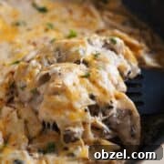 One Pan Sour Cream Chicken Enchilada Skillet Recipe 2 One Pan Sour Cream Chicken Enchilada Skillet