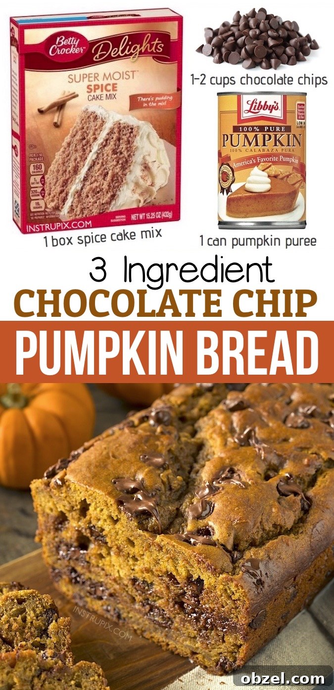 3 Ingredient Pumpkin Chocolate Chip Bread 8 Moist chocolate chip pumpkin bread made with boxed spice cake mix, canned pumpkin puree, and chocolate chips.