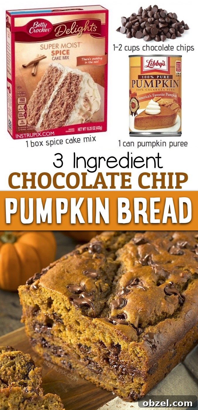 3 Ingredient Pumpkin Chocolate Chip Bread 10 Quick and easy pumpkin bread recipe made with boxed cake mix and optional chocolate chips.