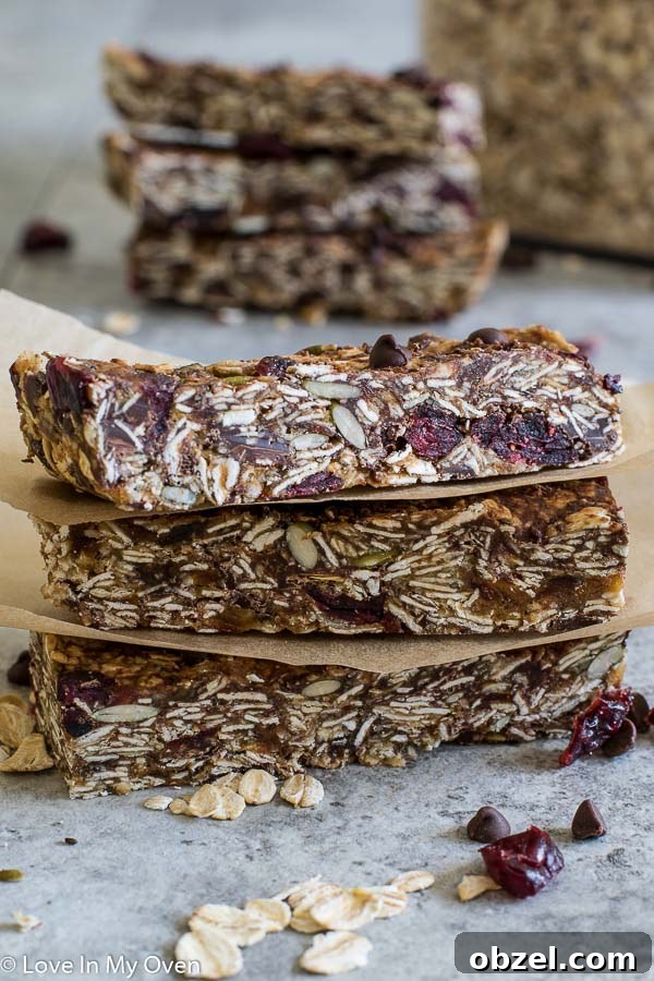 No-Bake Nut-Free Granola Bars with Seeds and Oats 2 Nut-Free Chewy Granola Bars on a plate
