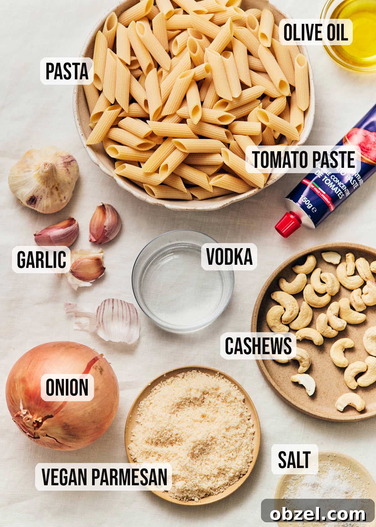 Creamy Vegan Vodka Sauce Pasta 6 Ingredients to make vegan vodka sauce pasta, including dried penne, garlic, onion, tomato paste, vodka, cashews, and vegan parmesan cheese