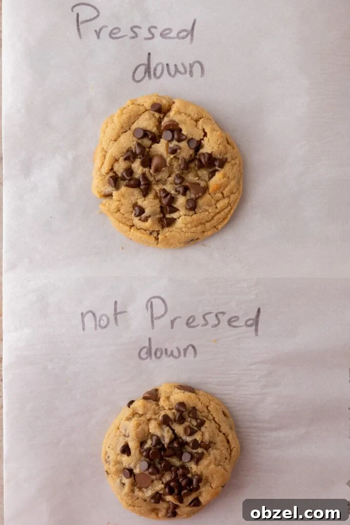 Chewy Peanut Butter Chocolate Chip Cookies 11 explanation of differences