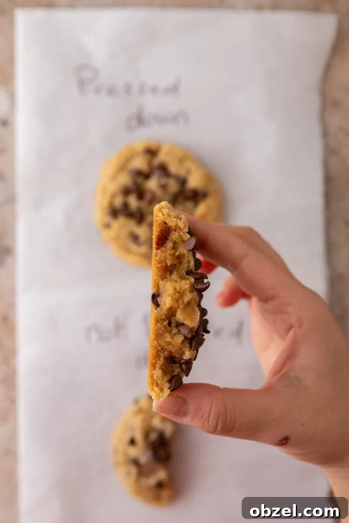 Chewy Peanut Butter Chocolate Chip Cookies 12 explanation of differences