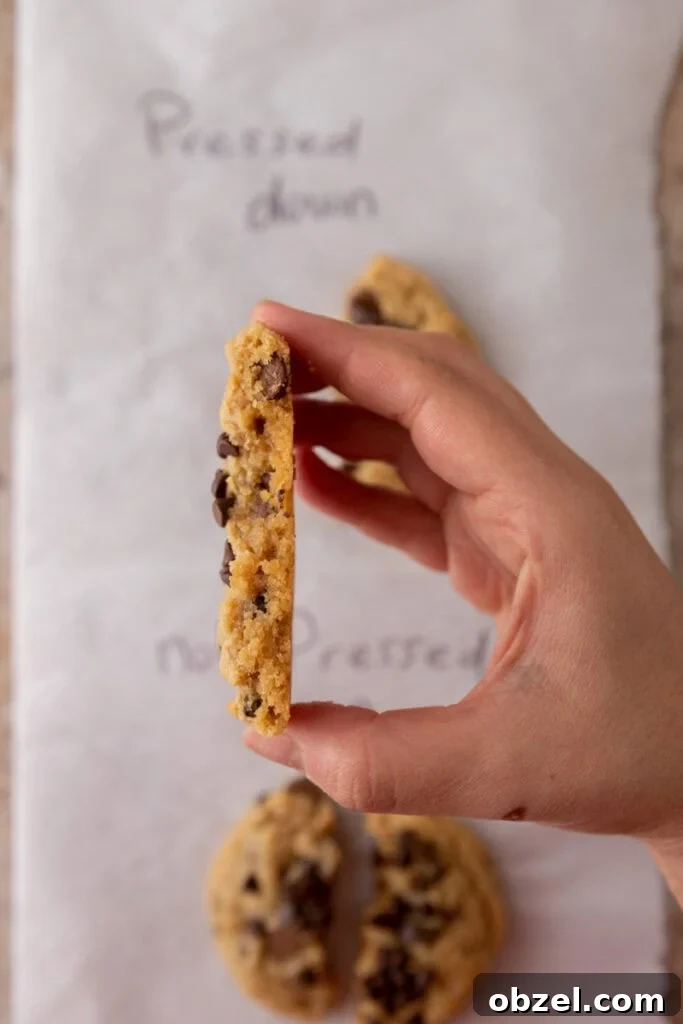 Chewy Peanut Butter Chocolate Chip Cookies 13 explanation of differences