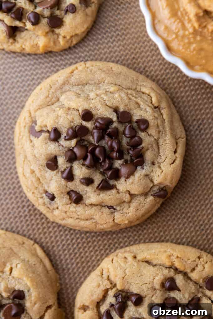 Chewy Peanut Butter Chocolate Chip Cookies 15 overhead Peanut Butter Chocolate Chip Cookie