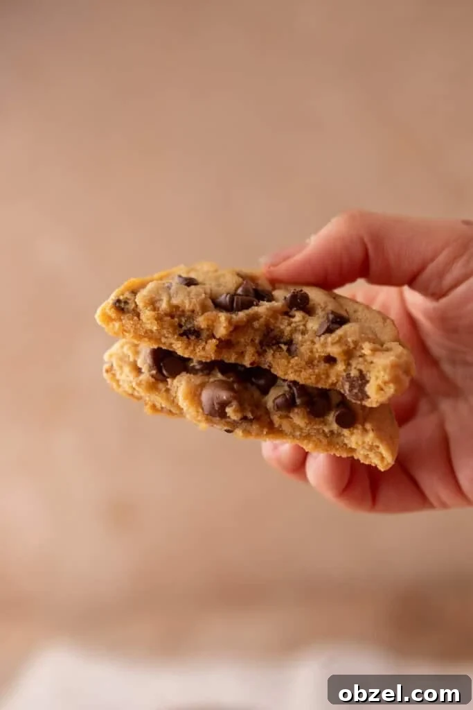 Chewy Peanut Butter Chocolate Chip Cookies 16 Peanut Butter Chocolate Chip Cookie being held up by hand