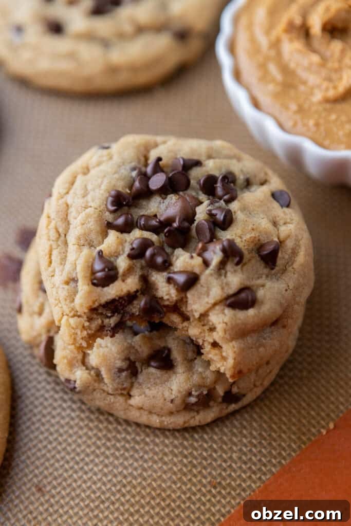 Chewy Peanut Butter Chocolate Chip Cookies 17 overhead Peanut Butter Chocolate Chip Cookie