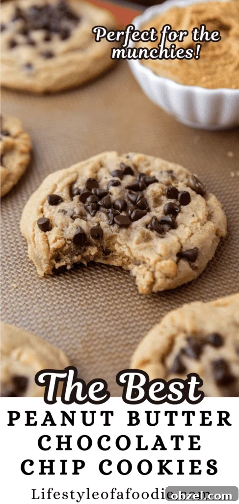 Chewy Peanut Butter Chocolate Chip Cookies 20 Peanut Butter Chocolate Chip Cookies pinterest pin