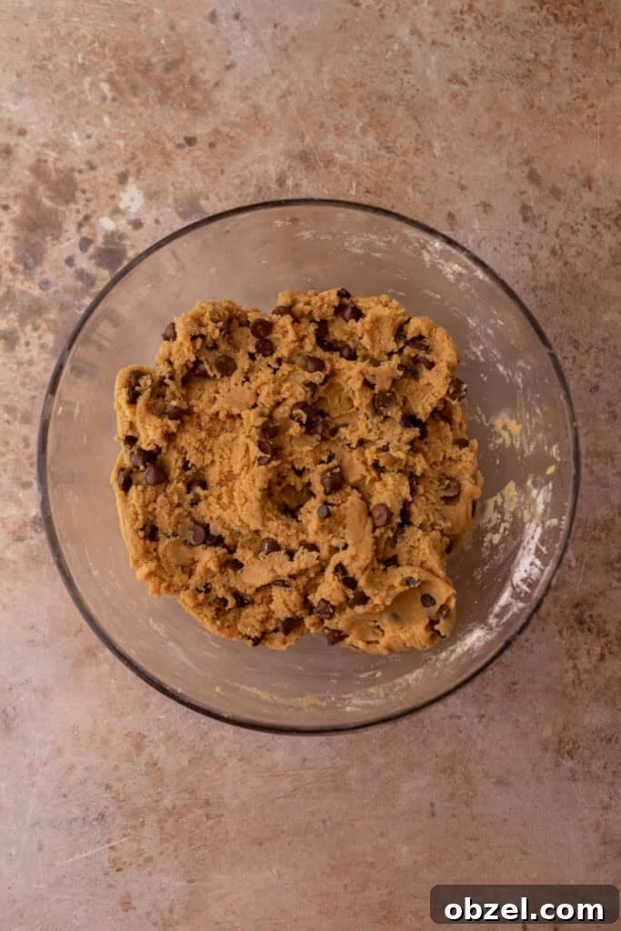 Chewy Peanut Butter Chocolate Chip Cookies 8 mixed ingredients in a bowl