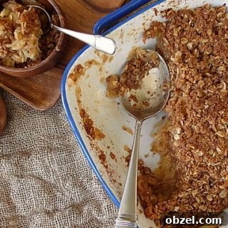 apple crisp closeup
